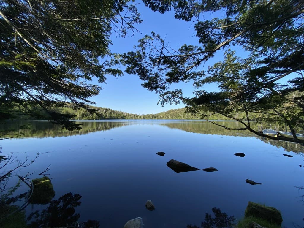 【満員御礼！】天気良くなりそうなので急遽北八ヶ岳！⛰️参考画像:0