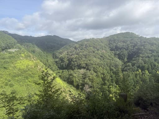 ベテランさんより初心者の方🔰