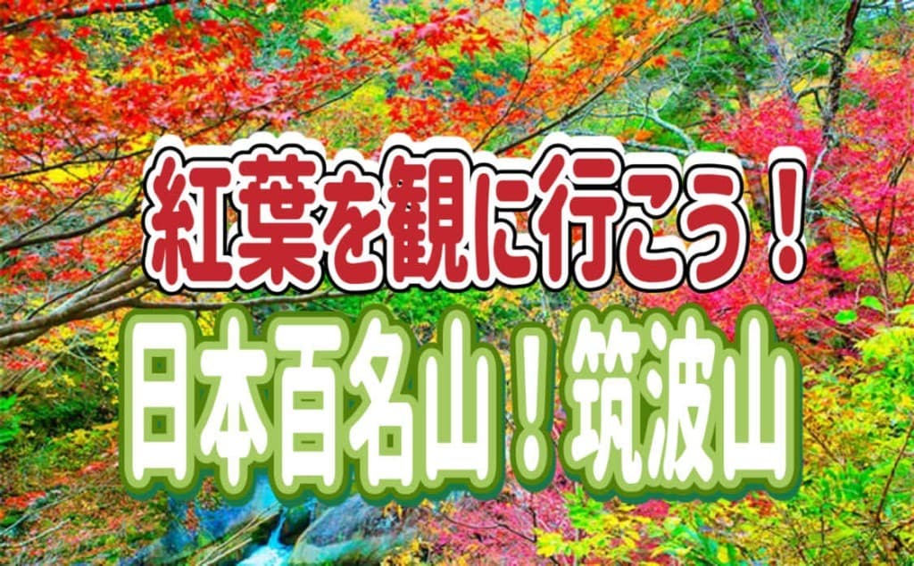 【東所沢/現地集合】紅葉を見に行こう！日本百名山！筑波山参考画像:0