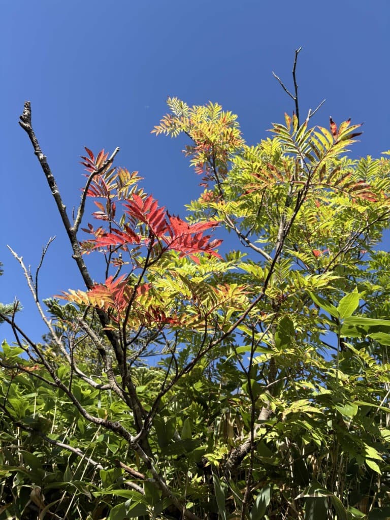 筑波山参考画像:0