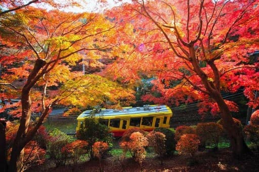 12/6【紅葉を見に行こう！】初心者歓迎！高尾山から小仏城山プチ縦走登山・山小屋グルメを楽しもう！参考画像:2
