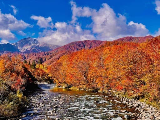 【首都圏発】10/25-26(土日)紅葉の越後・会津駒ヶ岳