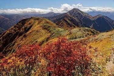 【首都圏発】10/25-26(土日)紅葉の越後・会津駒ヶ岳参考画像:2
