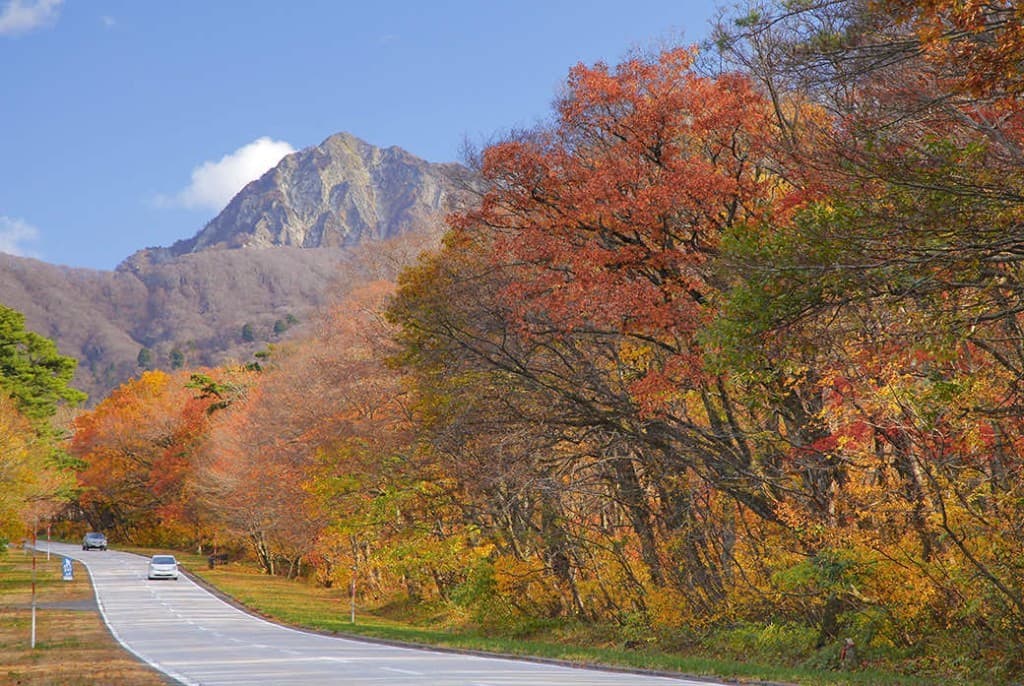 11/8(土)鳥取/大山参考画像:0
