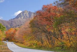 11/8(土)鳥取/大山