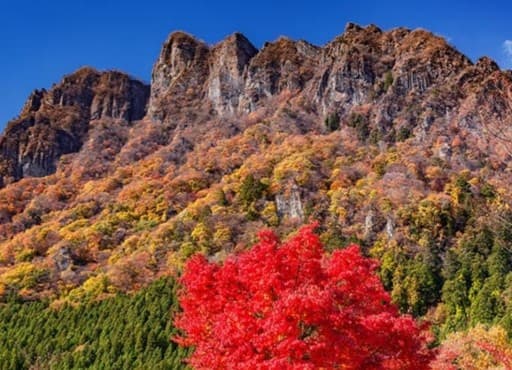 11月16日（日）妙義山