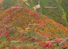 【2名相乗り募集】10/13 紅葉🍁の白毛門、朝日岳