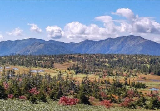 10/18(土)苗場山【都内出発】