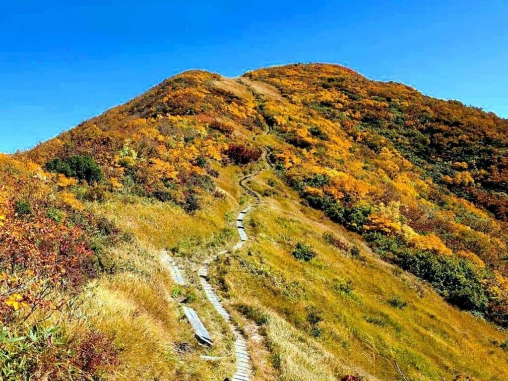 【満員御礼】10月18日(土)紅葉の浅草岳(日本三百名山) 同行者募集【所沢･深夜発】参考画像:0
