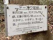 11/15 丹沢 同角尾根参考画像:0