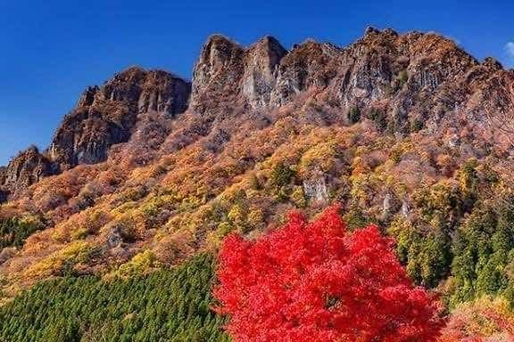 11/15妙義山参考画像:0