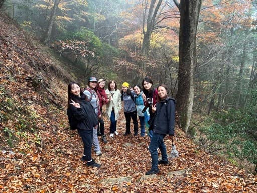 11/15(土) :六甲山の紅葉谷道でゆる〜いハイキング！ハイキング好き女子参加者募集！