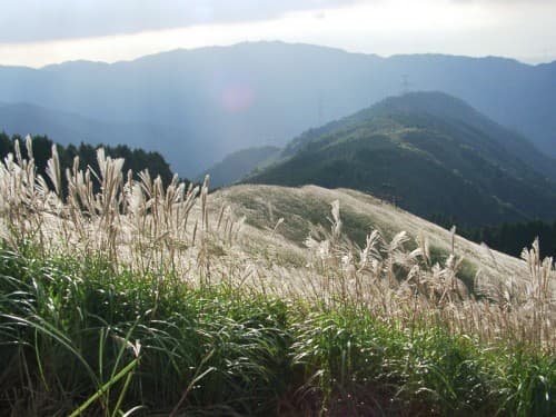 【天王寺MIO前発着】岩湧山トレッキング＋登山メンバー募集参考画像:0
