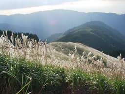 【天王寺MIO前発着】岩湧山トレッキング＋登山メンバー募集