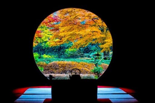 12/14 鎌倉 坐禅＆紅葉ハイキング Kamakura Hike