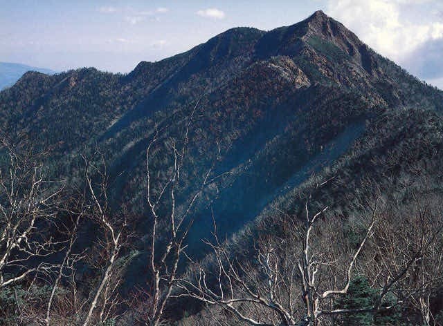 11/8(土)女峰山　前夜埼玉発参考画像:0