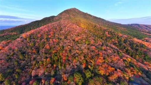 11/14（金） 筑波山行こう！