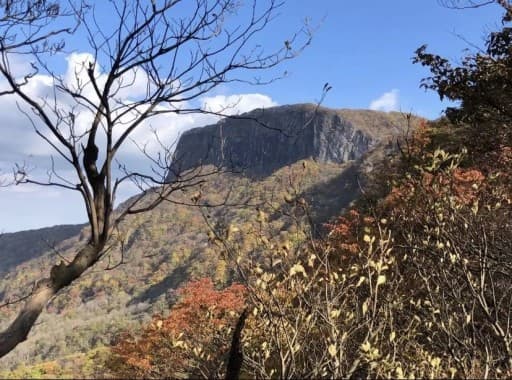 11/15（土）荒船山【日本二百名山】