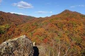 11/29中武生山🍁