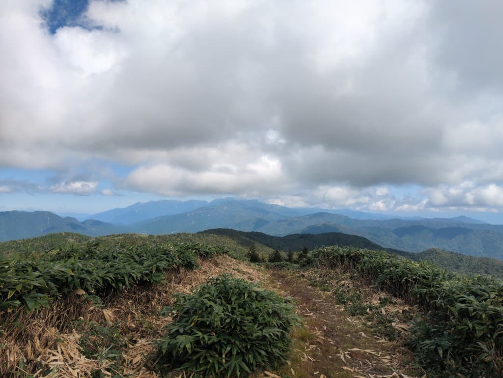 【急ですが】11/22 恵那山　神坂峠ルート参考画像:0