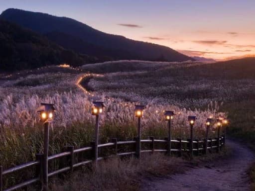 【再募集】【都内発】11/22-24 三重県　藤原岳、御池岳、曽爾高原