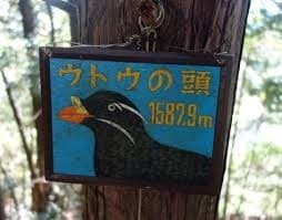 4/25(土)奥多摩：天祖山→タワ尾根(1名募集)参考画像:2