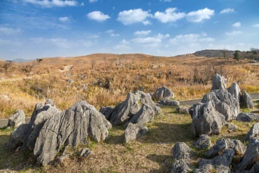 【本厚木発】中国地方遠征（出雲大社・松下村塾・三大カルスト）参考画像:2