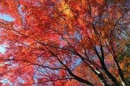 11/29中武生山🍁【あと1名】