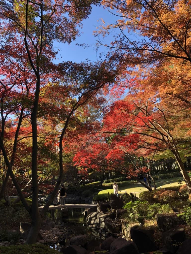 秋葉山、圓通寺・火祭りウォーキング参考画像:1