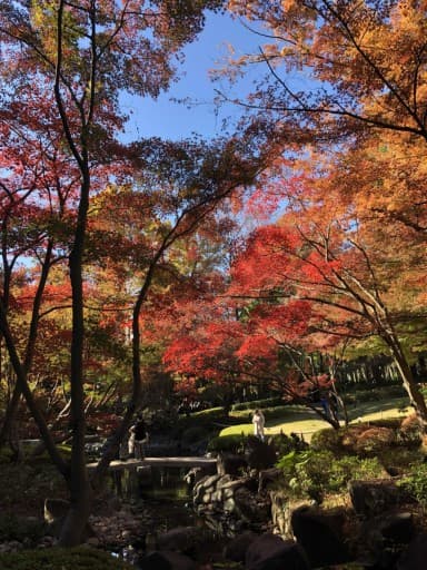 秋葉山、圓通寺・火祭りウォーキング参考画像:1