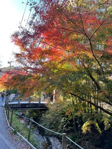 12月7日　紅葉鎌倉アルプス・鎌倉観光