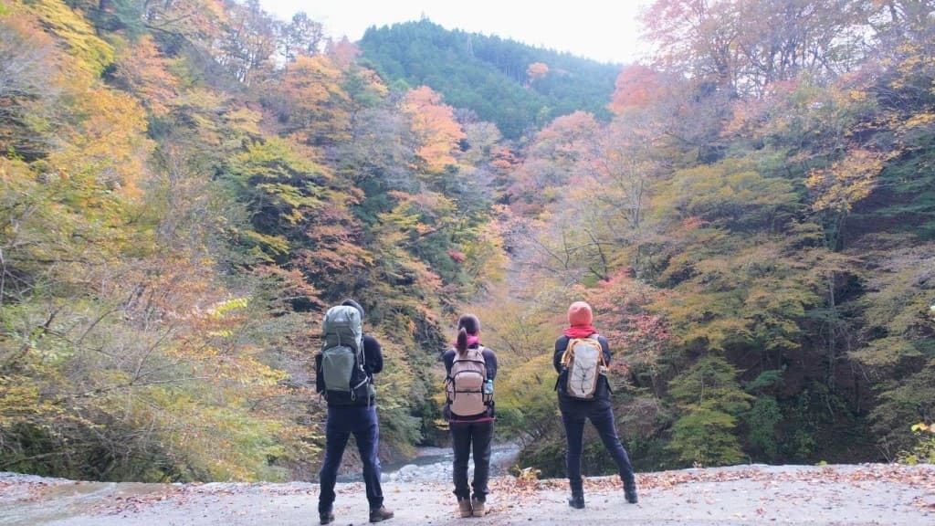 12月3日　神奈川県の大野山参考画像:0