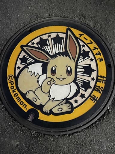 12月30日　開聞岳参考画像:2