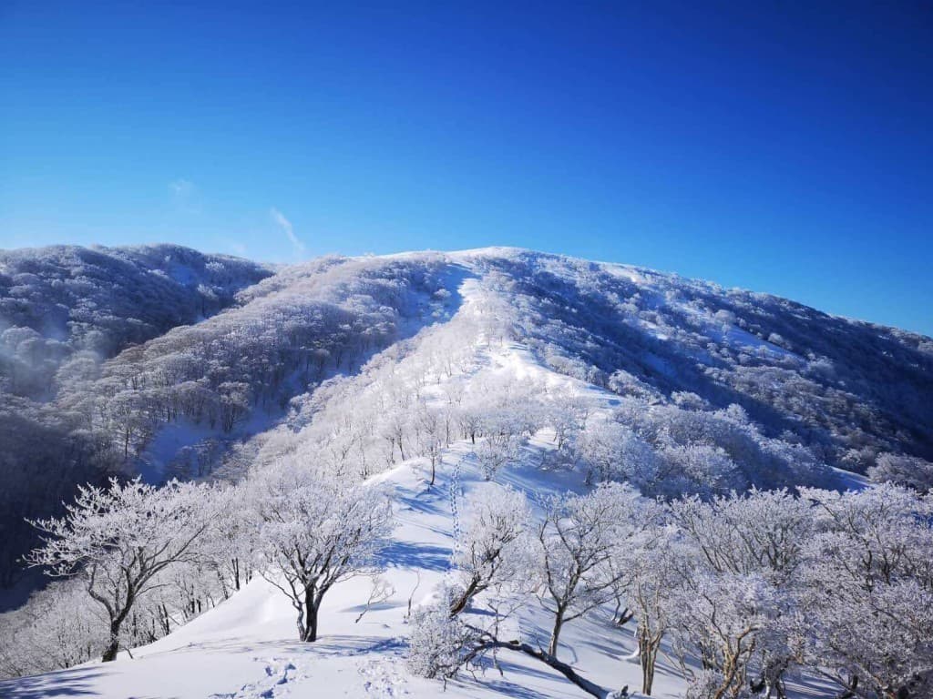 【都内発】1/10-12 （三重県）霊仙山、竜ヶ岳、御在所参考画像:0