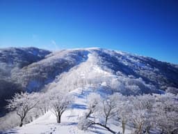 【都内発】1/10-12 （三重県）霊仙山、竜ヶ岳、御在所