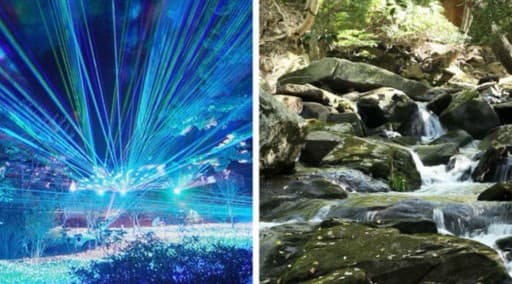 1/11(日)京都のるり渓でゆる〜いハイキングとイルミネーション！ハイキング女子参加者募集！