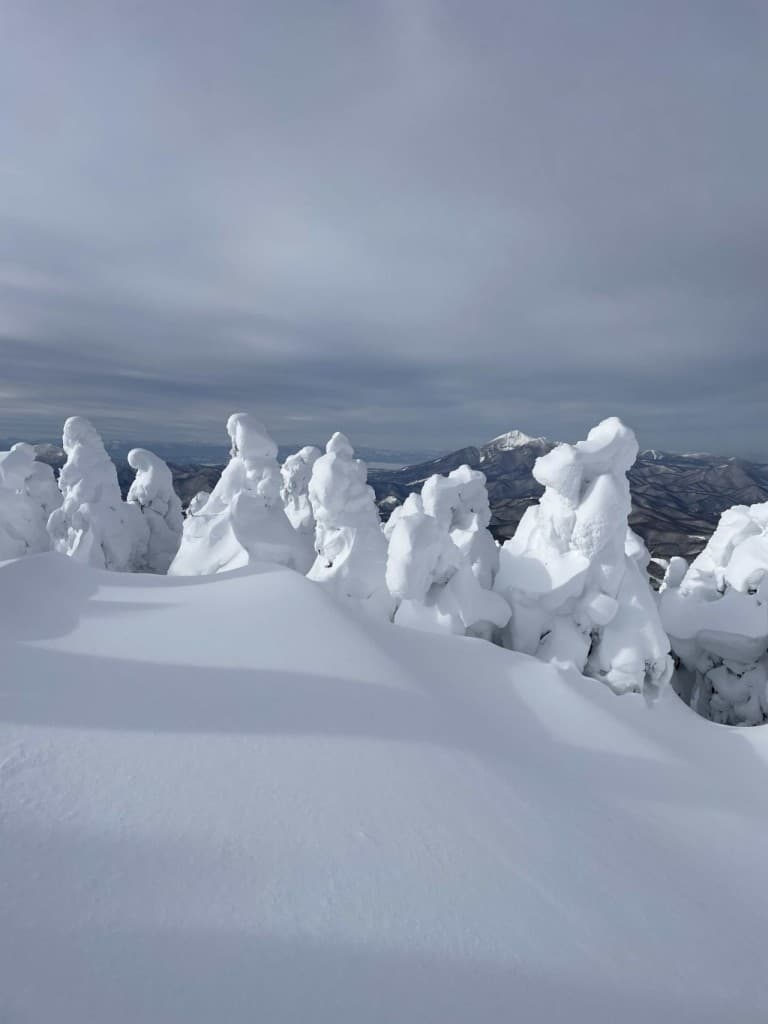 1/18(日)雪の箕輪山BC🏂⛰️さいたま市発！参考画像:0