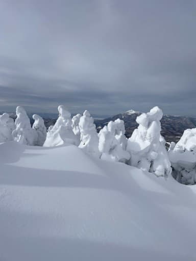 1/18(日)雪の箕輪山BC⛰️さいたま市発！