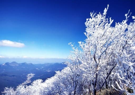 【急募】霧氷❄1/6愛知発→奈良·三峰山