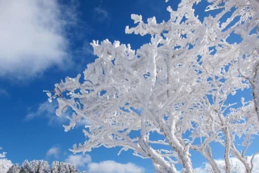 1/24（土）三峰山