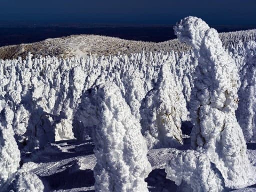 2月6〜8日 蔵王樹氷＆氷瀑巡り