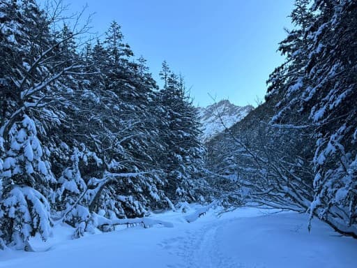 (急募)1/11 北八ヶ岳散策　(前夜発)