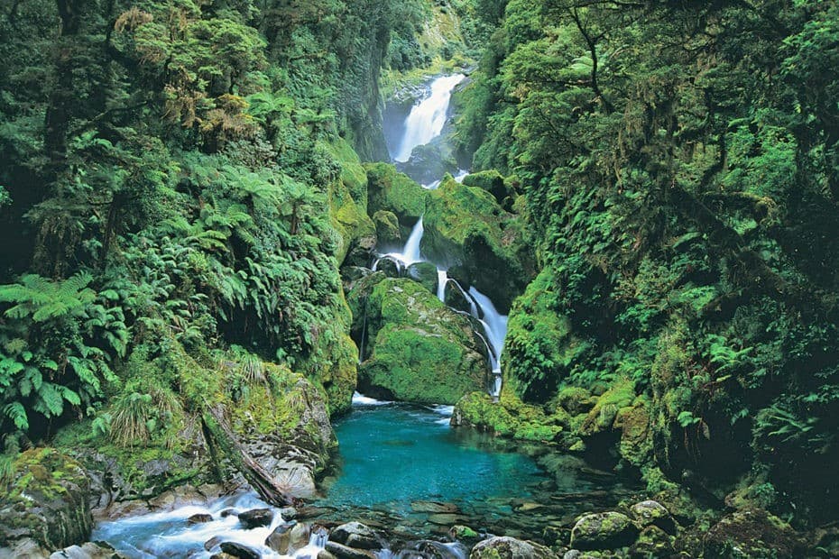 【募集停止】NZ ミルフォード トラック 2026参考画像:0