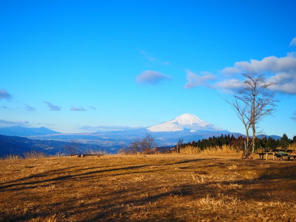 2/14(土)神奈川　高松山→シダンゴ縦走参考画像:0