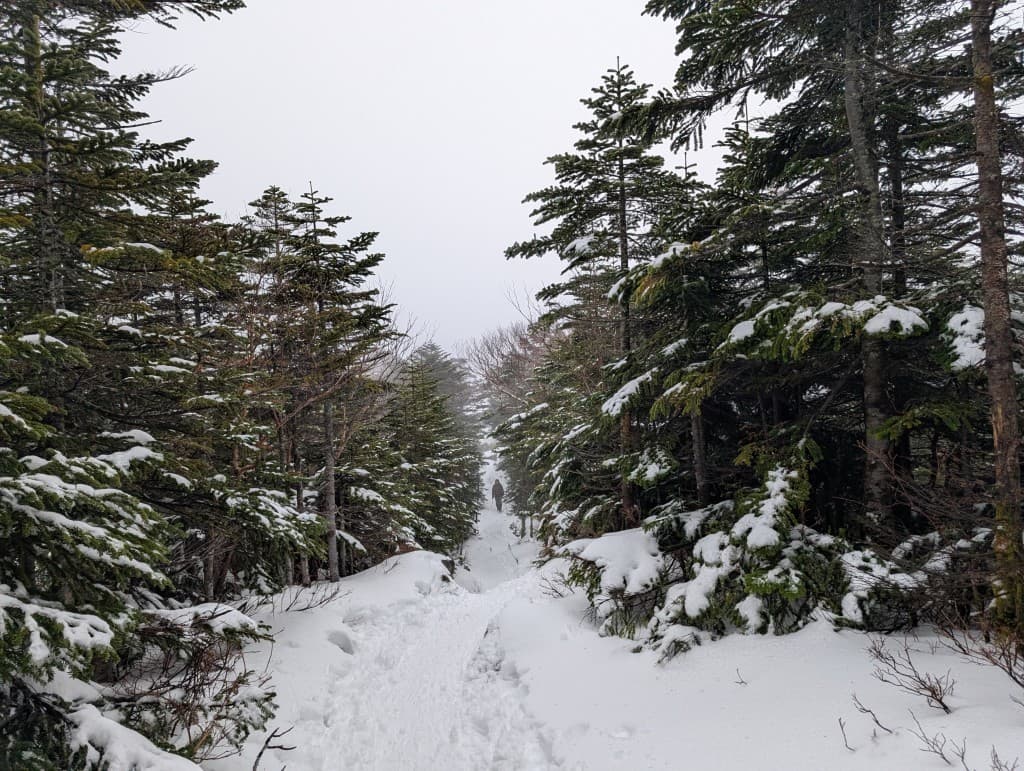 【1/17(土)】🏔️長野 天狗岳 渋の湯周回ルート 同行者募集参考画像:0