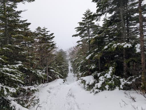 【1/17(土)】🏔️長野 天狗岳 渋の湯周回ルート 同行者募集