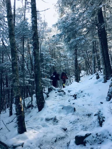 関東向け　2月14.15北横岳　初心者雪山訓練参考画像:2