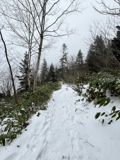 北横岳1月26日　日帰り