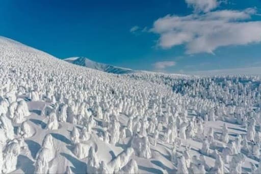 2/7（土 ）蔵王 スノーモンスター 日帰り