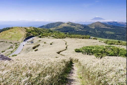 2/7（土）〜2/8（日）伊豆稜線歩道&キャンプ&観光の参加者募集！